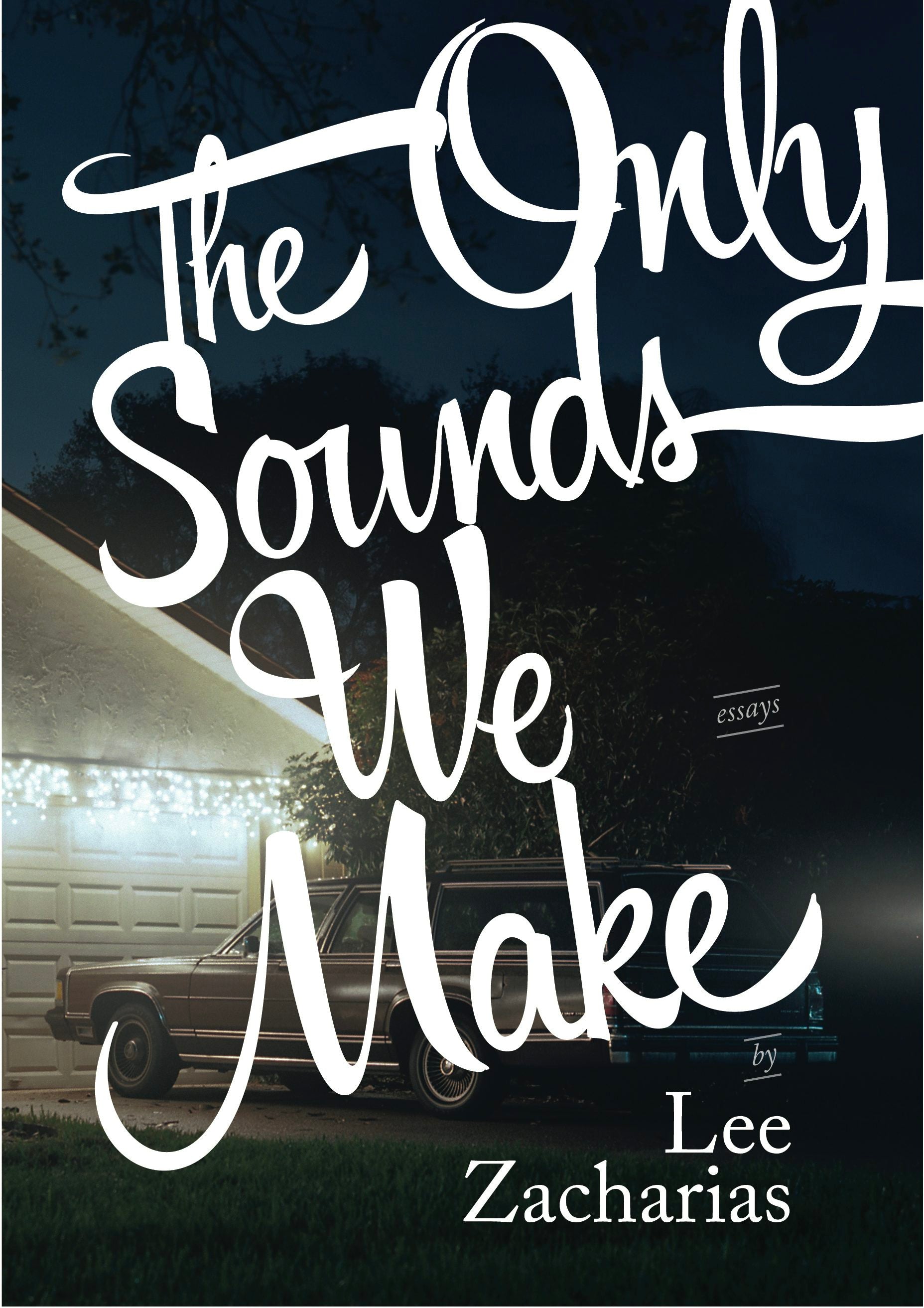 Book cover image for The Only Sounds We Make ISBN: 9781938235009